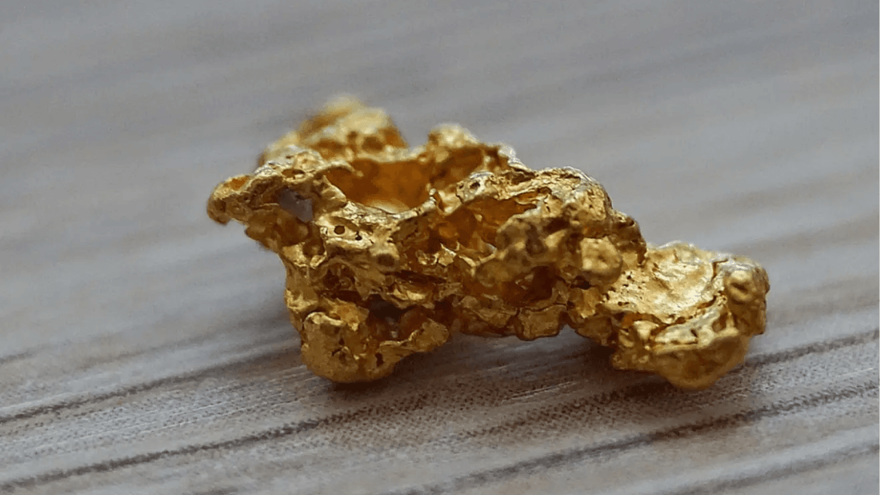 hongo que usa oro mineria biomineria descubrimiento