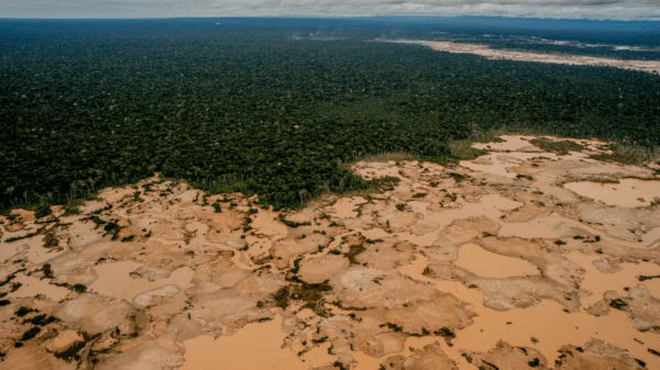 minería ilegal en Tambopata deforestación bosque amazónico Perú