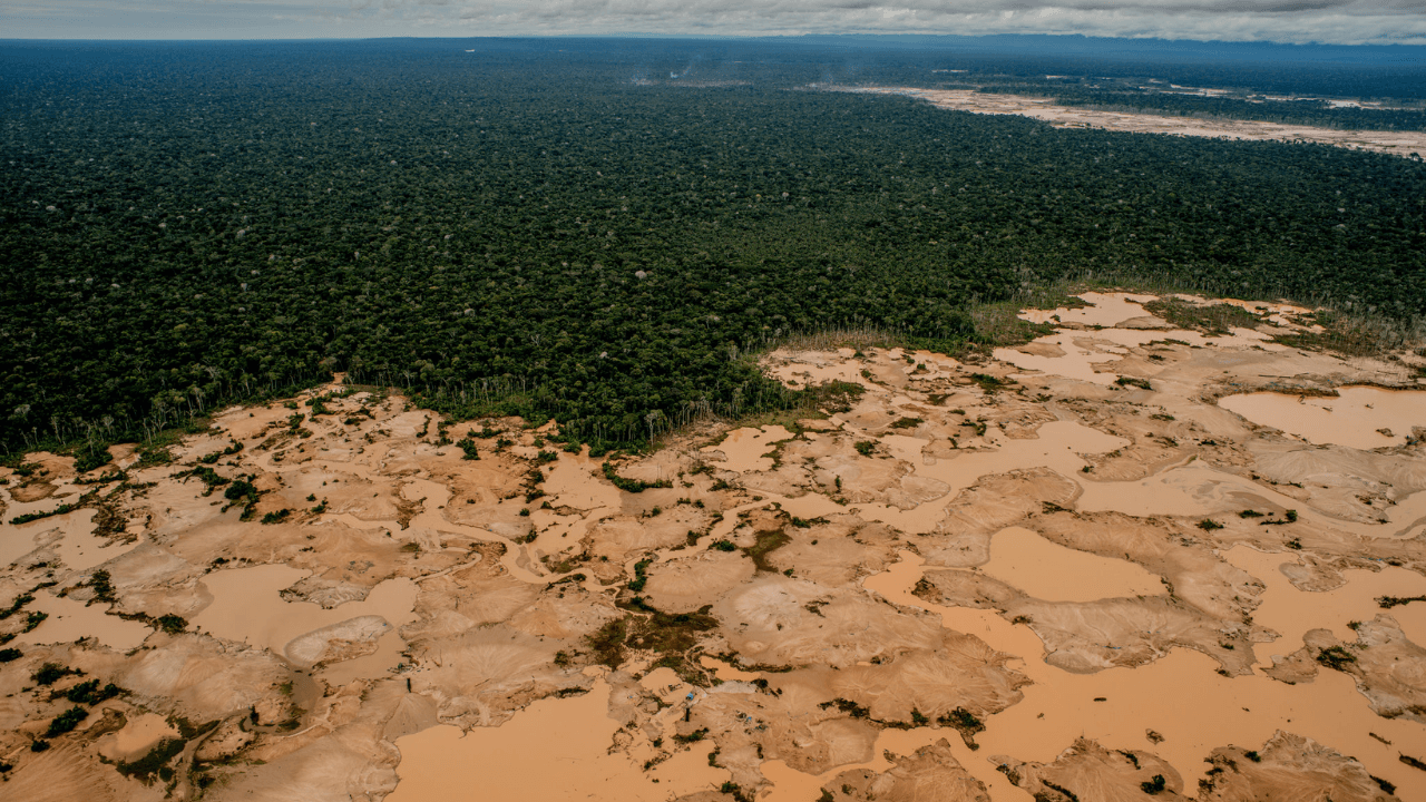 minería ilegal en Tambopata deforestación bosque amazónico Perú